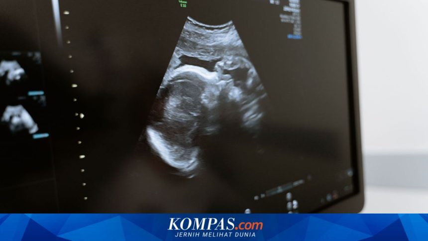 AI Bantu Tenaga Kesehatan Skrining Ibu Hamil Saat Dokter Spesialis Minim