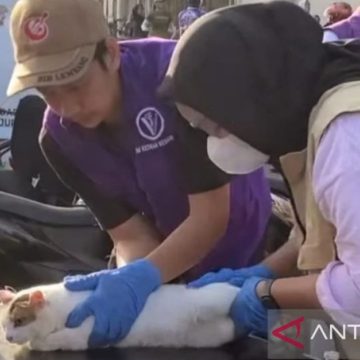 DPKHP Cianjur Perluas Layanan Kesehatan Gratis untuk Hewan Peliharaan