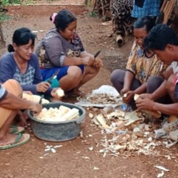 Eksplorasi Kekayaan Pangan dan Kuliner Tradisional Berbahan Umbi-Umbian