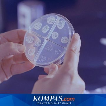 Lawan Resistensi Antibiotik, Pfizer Tingkatkan Komitmen untuk Inovasi Kesehatan Lawan Resistensi Antibiotik, Pfizer Tingkatkan Komitmen untuk Inovasi Kesehatan