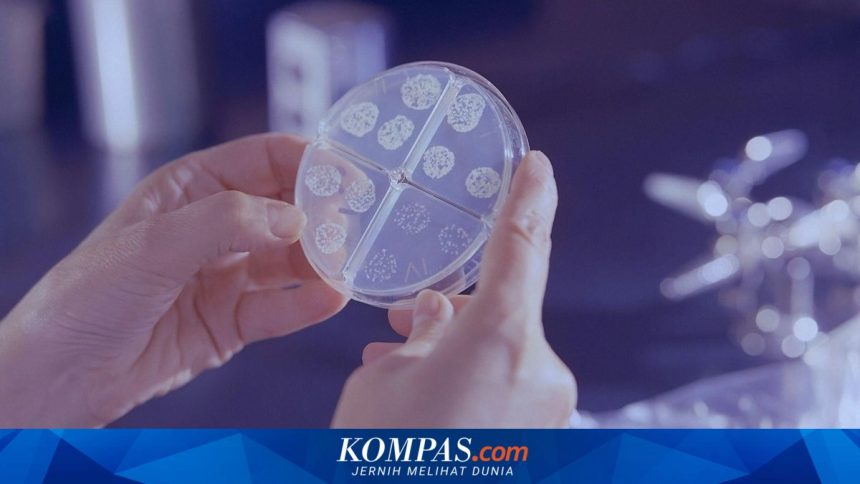Lawan Resistensi Antibiotik, Pfizer Tingkatkan Komitmen untuk Inovasi Kesehatan