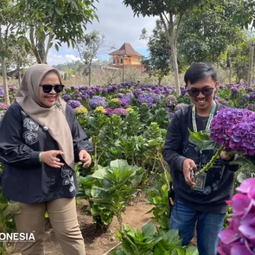Menikmati Suasana Sejuk Kota Batu di Dusun Kuliner