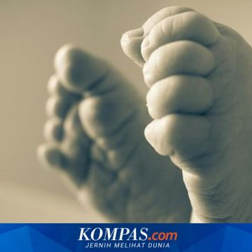 Duka di Ngada: Bayi dan Lansia Meninggal di Pengungsian, Kesehatan Memburuk Pasca Gempa