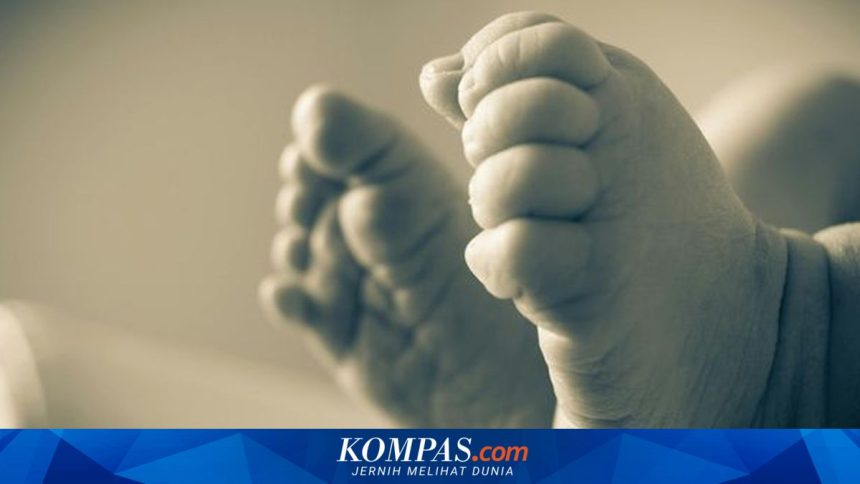 Duka di Ngada: Bayi dan Lansia Meninggal di Pengungsian, Kesehatan Memburuk Pasca Gempa