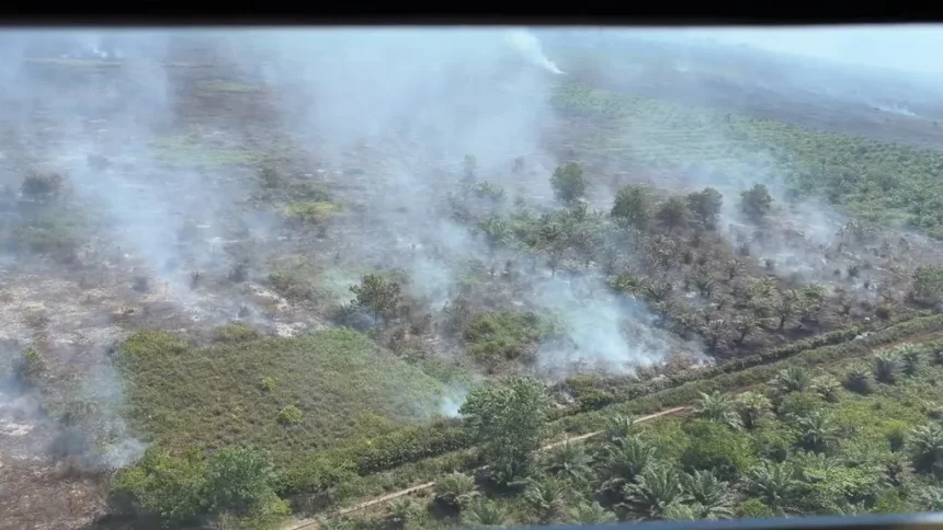 Gangguan Kesehatan Akibat Asap Kebakaran Hutan dan Lahan di Kalimantan