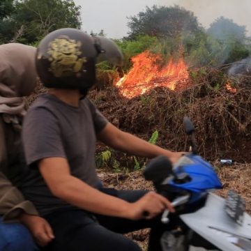 Karhutla Mengancam Hak Anak: Dampak Kesehatan, Pendidikan, dan Lingkungan yang Perlu Diwaspadai