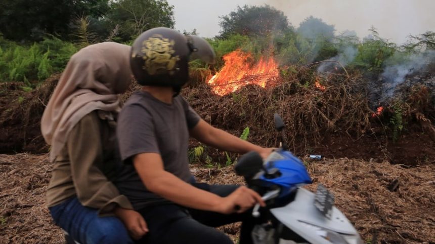 Karhutla Mengancam Hak Anak: Dampak Kesehatan, Pendidikan, dan Lingkungan yang Perlu Diwaspadai Karhutla Mengancam Hak Anak: Dampak Kesehatan, Pendidikan, dan Lingkungan yang Perlu Diwaspadai