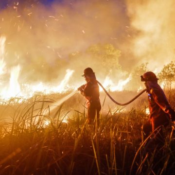 Kebakaran Hutan Sebabkan Krisis Kesehatan Masyarakat