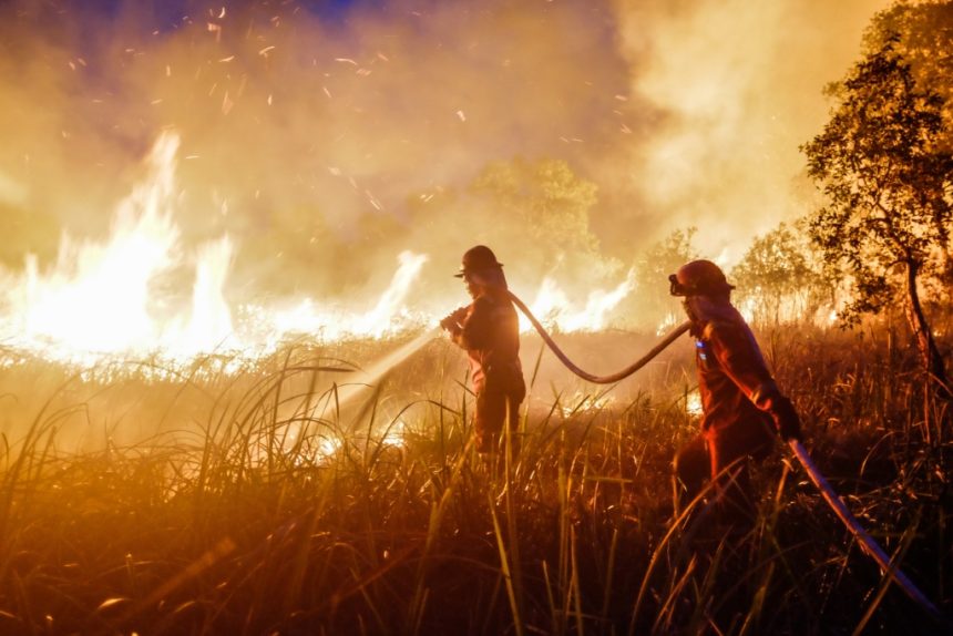 Kebakaran Hutan Sebabkan Krisis Kesehatan Masyarakat Kebakaran Hutan Sebabkan Krisis Kesehatan Masyarakat