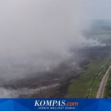 Kemenkes Diminta Perkuat Perlindungan Kesehatan Masyarakat dari Dampak Kebakaran Hutan dan Lahan Kemenkes Diminta Perkuat Perlindungan Kesehatan Masyarakat dari Dampak Kebakaran Hutan dan Lahan