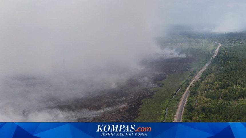 Kemenkes Diminta Perkuat Perlindungan Kesehatan Masyarakat dari Dampak Kebakaran Hutan dan Lahan Kemenkes Diminta Perkuat Perlindungan Kesehatan Masyarakat dari Dampak Kebakaran Hutan dan Lahan