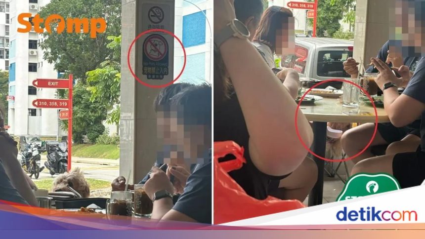 Kuliner Terbaru di Gading Serpong dan Kontroversi Anjing di Kafe Kuliner Terbaru di Gading Serpong dan Kontroversi Anjing di Kafe