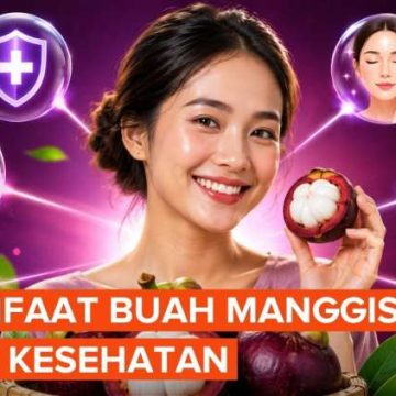 Mengenal Kandungan dan Manfaat Buah Manggis untuk Kesehatan Mengenal Kandungan dan Manfaat Buah Manggis untuk Kesehatan