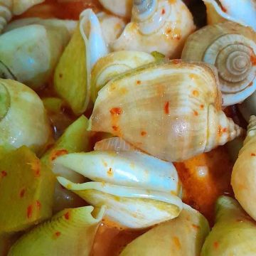 Menikmati Gonggong: Kuliner Siput Laut Khas Kepulauan Riau yang Menggugah Selera Menikmati Gonggong: Kuliner Siput Laut Khas Kepulauan Riau yang Menggugah Selera