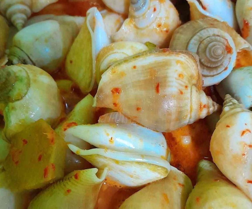 Menikmati Gonggong: Kuliner Siput Laut Khas Kepulauan Riau yang Menggugah Selera