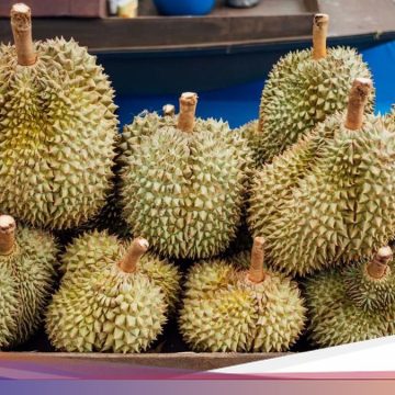 Menikmati Kelezatan Kuliner Nusantara: 4 Destinasi dengan Jajanan Buah yang Wajib Dicoba