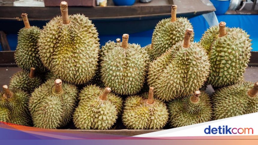 Menikmati Kelezatan Kuliner Nusantara: 4 Destinasi dengan Jajanan Buah yang Wajib Dicoba