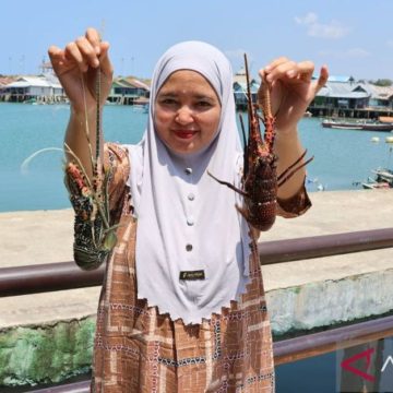 Pengepul Lobster Kembangkan Inovasi Kuliner untuk Tingkatkan Nilai Tambah Hasil Laut