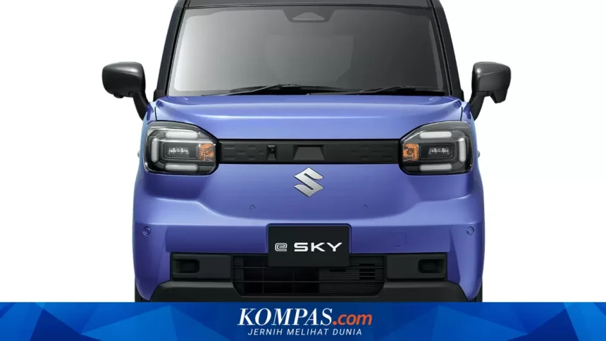 Perbandingan Mobil Listrik Mungil: Suzuki e Sky Vs BYD Raccoon