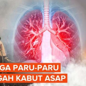 Tips Efektif Menjaga Kesehatan Paru-paru Saat Terpapar Kabut Asap