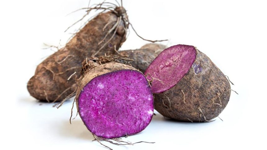 Ube Tak Cuma Hits di Kuliner, Ternyata Jadi Bahan Riset Skincare