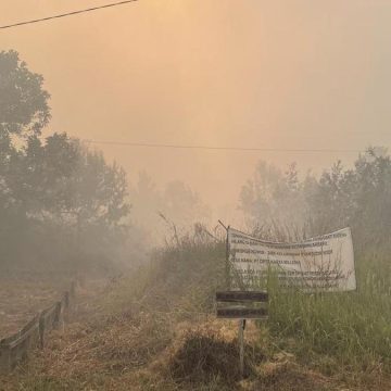 Waspada! Efek Menghirup Asap Karhutla bagi Paru-paru dan Jantung Waspada! Efek Menghirup Asap Karhutla bagi Paru-paru dan Jantung