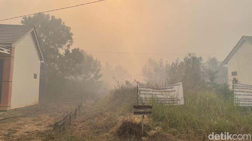 Waspada! Efek Menghirup Asap Karhutla bagi Paru-paru dan Jantung
