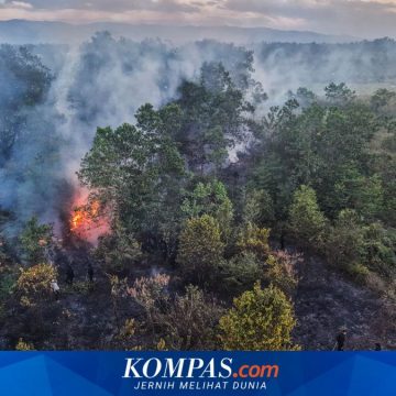 Dampak Karhutla pada Kesehatan: Pemerintah Didorong Ambil Langkah Konkret