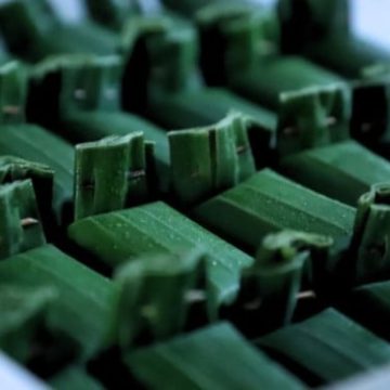 Lemper Frozen Isnaini: Inovasi Kuliner Bantul yang Sukses Menembus Pasar Global