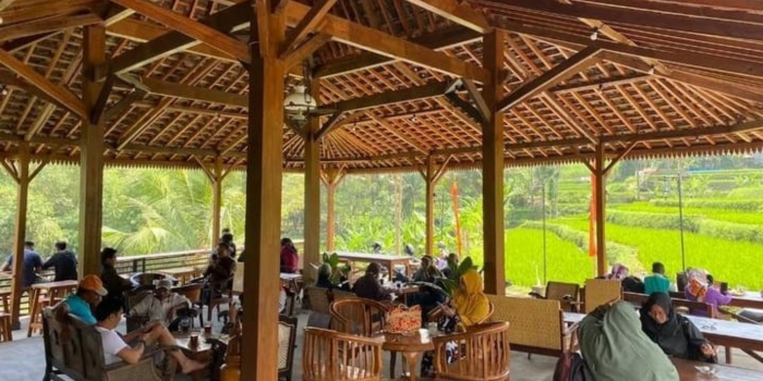 Pesona Kuliner dengan Pemandangan Sawah di Singosari Pesona Kuliner dengan Pemandangan Sawah di Singosari
