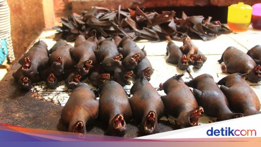 Unik dan Ekstrem! 8 Hidangan Khas Indonesia dari Tikus hingga Darah
